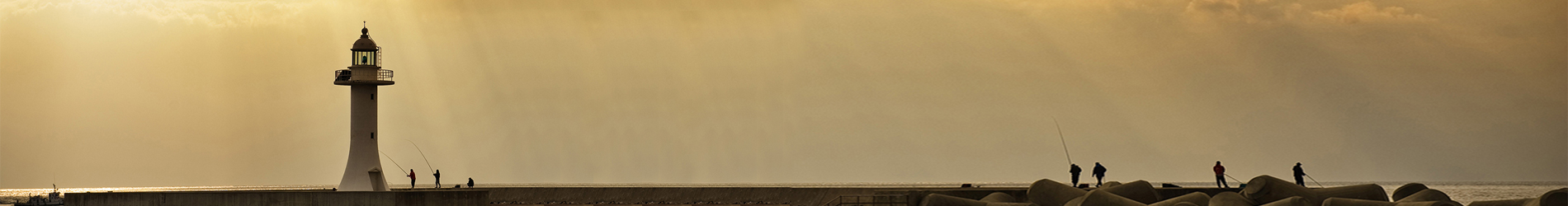 網站維護公司簡介